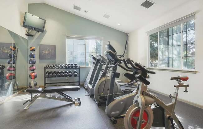 the gym at the enclave at deerwood apartments