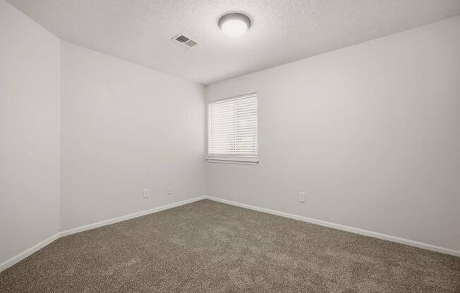 2 beds, 1 bath, 970 sqft, $1,265