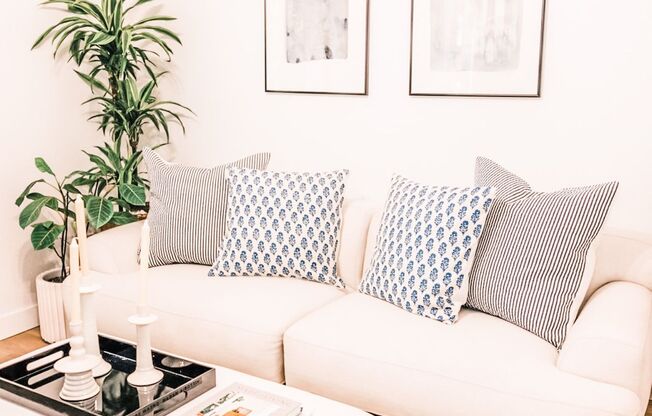 Haven Rio | Boutique Living in Mesa