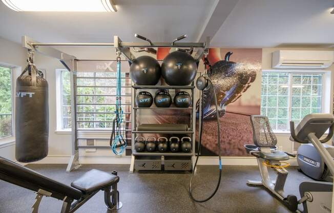 Fitness center with punching bag and medicine balls