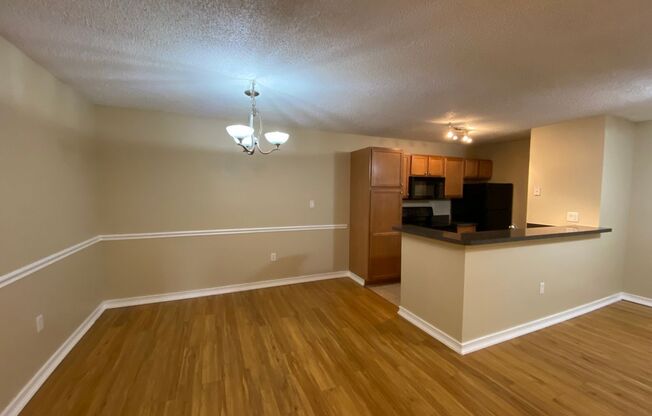 Lovely 1/1 condo in the heart of Brandon