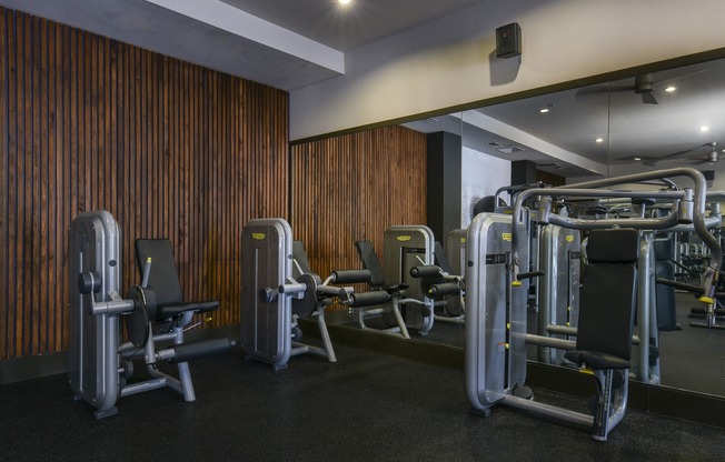 Fitness and Wellness Center | Weight Machines