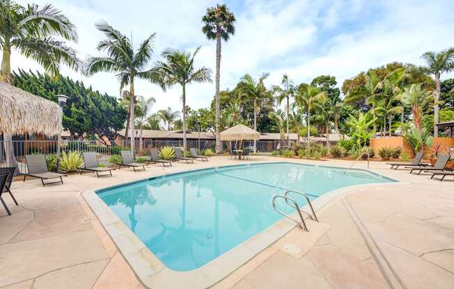 A large swimming pool surrounded by palm trees and lounge chairs.