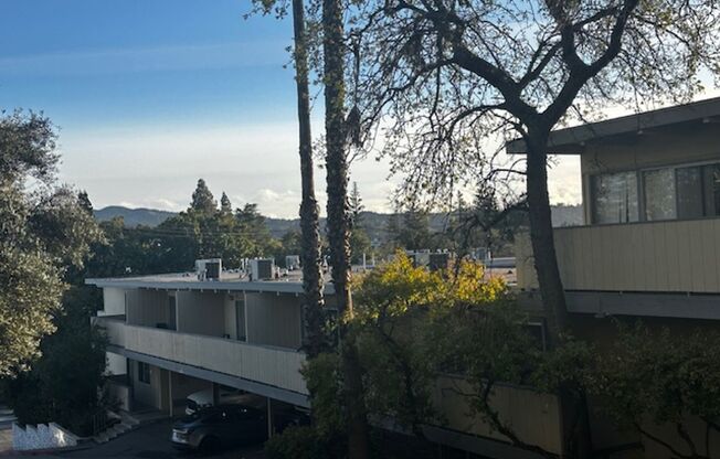 Lincoln Ave Apartments -Downtown Walnut Creek