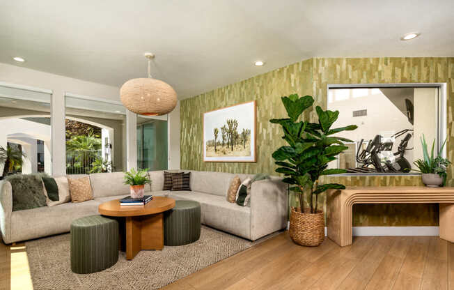 A living room with a couch, coffee table, and potted plants.