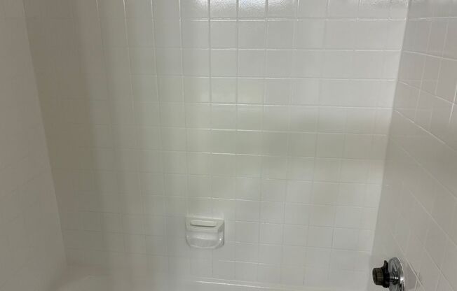 1 bed, 1 bath, 500 sqft, $765, Unit 111