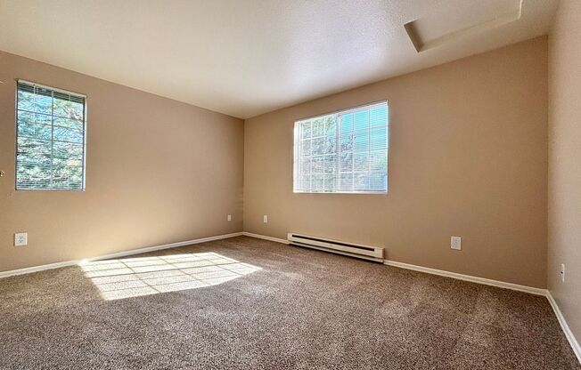 1 bed, 1 bath, 747 sqft, $1,375, Unit 315