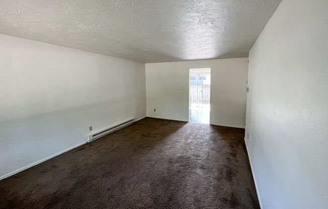 HONEYSUCKLE2512