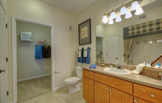bathroom with light brown cabinets and tan countertops with attached walk in closet