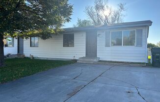 4035 &amp; 4037 Amber