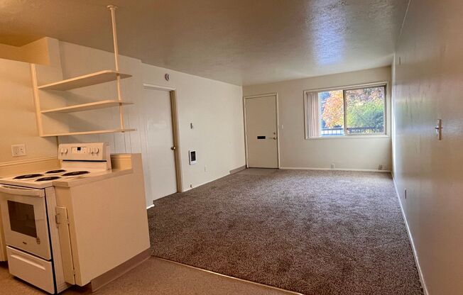 1 bed, 1 bath, $1,295, Unit 19