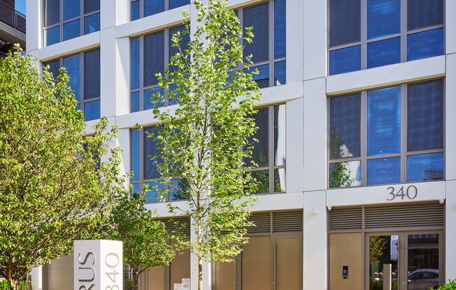 1 bed, 1 bath, $3,150, Unit 3A