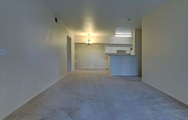 LOVELY CONDO!