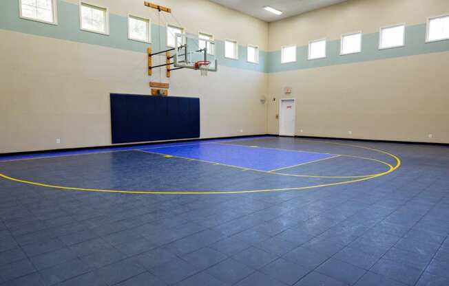 Full Size Basketball Court at Town Walk at Hamden Hills, Connecticut