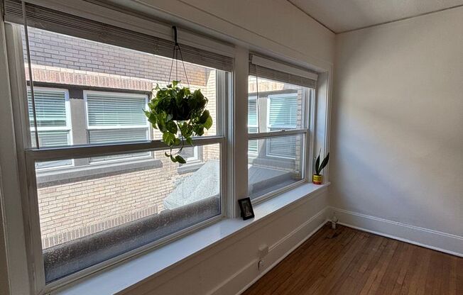 Studio, 1 bath, 430 sqft, $1,400, Unit 206