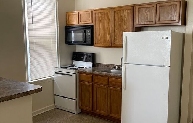 2 beds, 1 bath, 743 sqft, $1,100