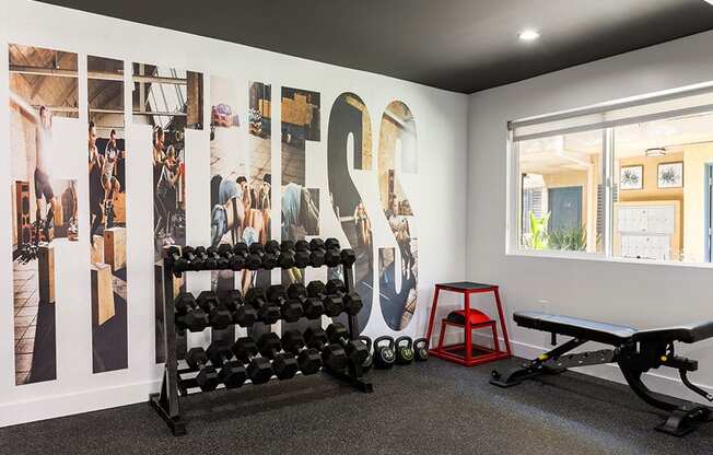 Brand-new fitness center with treadmills, machines, and free weights.