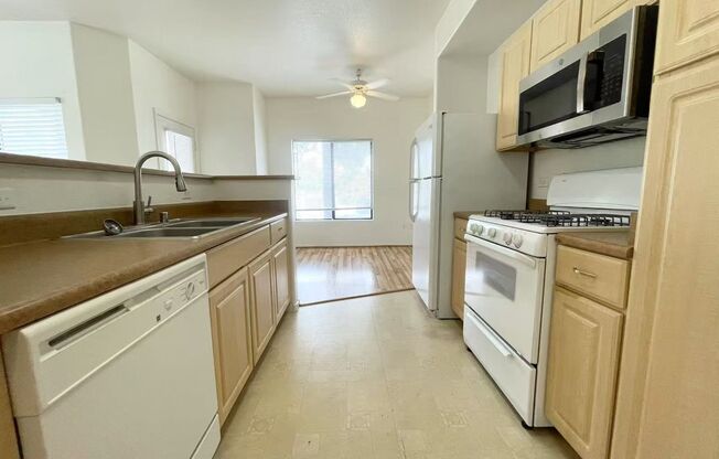 1 bed, 1 bath, $1,350