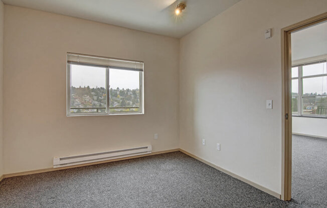 lots of natural light in apartment