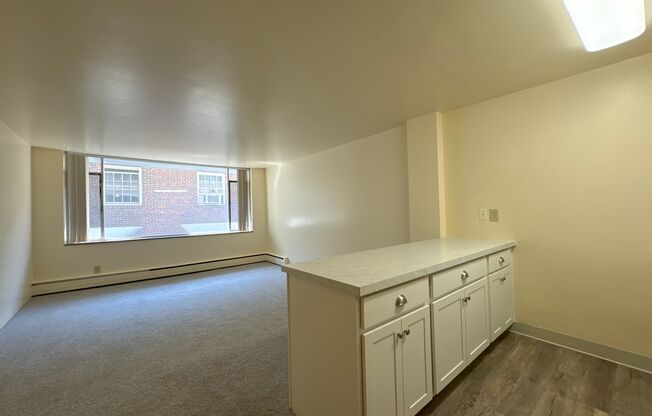 Studio, 1 bath, 360 sqft, $995, Unit 404