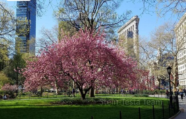 2 beds, 2 baths, 1,115 sqft, $10,500, Unit 20L