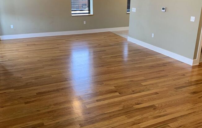 1 bed, 1 bath, 1,044 sqft, $1,250, Unit 909