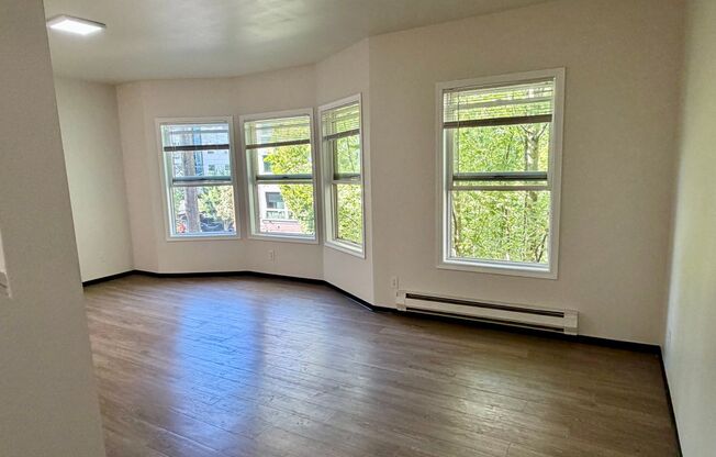 1 bed, 1 bath, 500 sqft, $1,495, Unit 0709-213