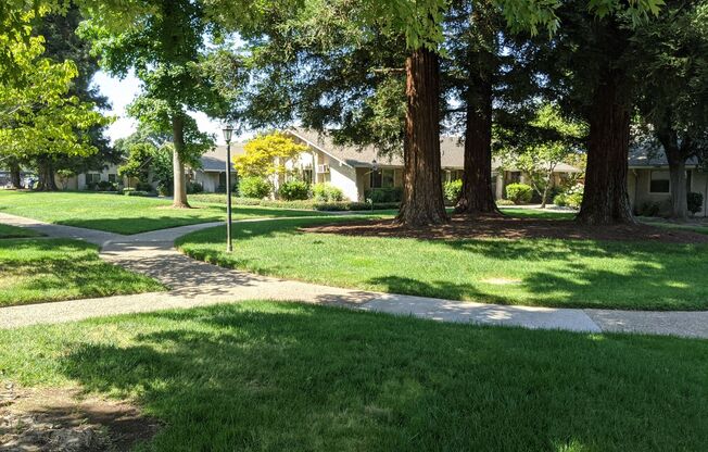 1 bed, 1 bath, 605 sqft, $1,200, Unit 7