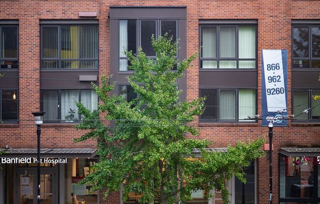 Studio, 1 bath, 350 sqft, $1,500, Unit 212