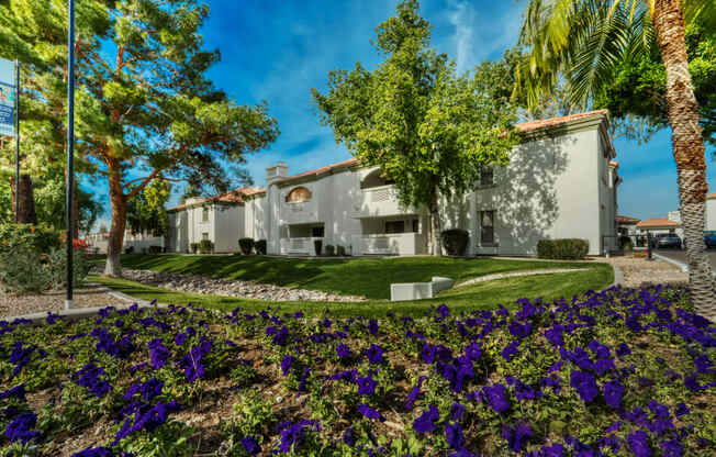 a garden with purple flowers in front of a house