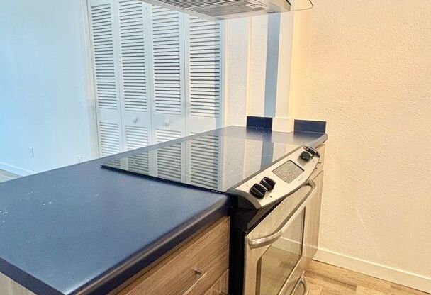 1 bed, 1 bath, 465 sqft, $1,325, Unit 310