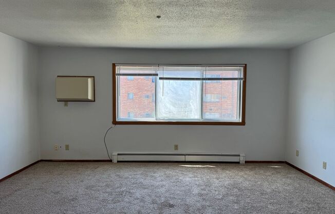 2 beds, 1 bath, 550 sqft, $725, Unit 1119-206