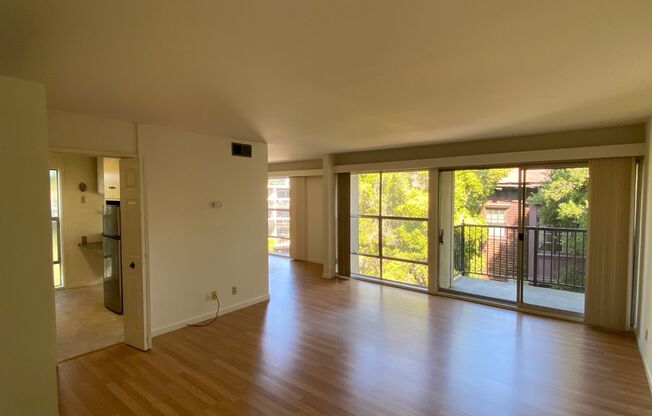 322 Monte Vista -1196