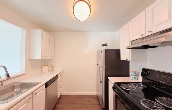 1 bed, 1 bath, 700 sqft, $1,750, Unit 234