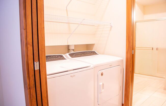 1 bed, 1 bath, $1,325, Unit 312