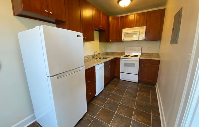 Studio, 1 bath, 454 sqft, $1,545, Unit 303