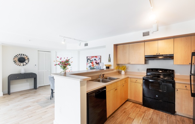 a kitchen with wooden cabinets and black appliances and a counter top