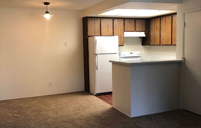 1 bed, 1 bath, 500 sqft, $2,050, Unit 1