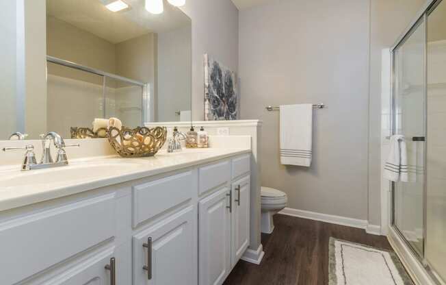 Bathroom at The Preserve at Tampa Palms Apartments in Tampa, FL