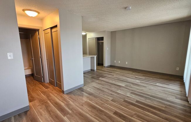 Studio, 1 bath, 480 sqft, $745, Unit 308