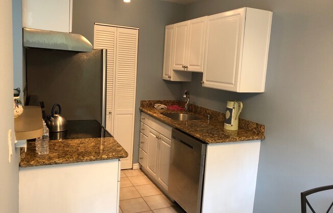 Nice 2 bed, 1 bath Downtown Seattle-Elektra Condo for Rent