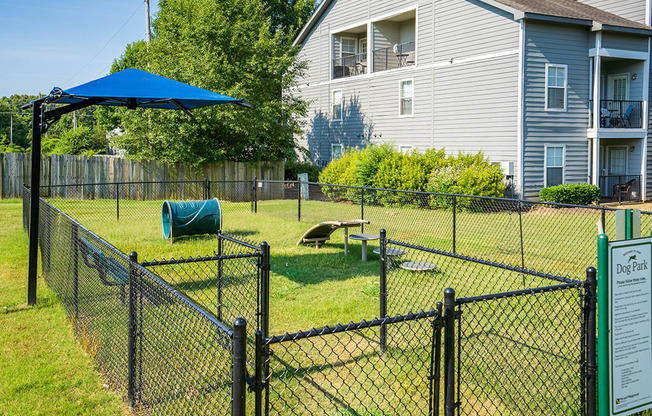 Fenced In Dog Park