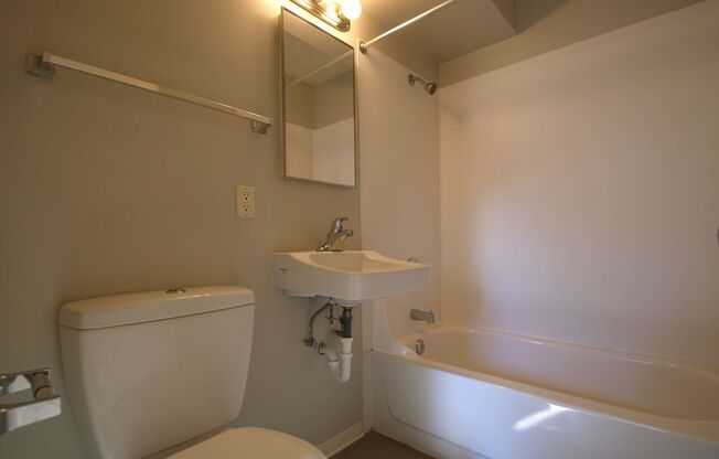 1 bed, 1 bath, 393 sqft, $1,195, Unit 208