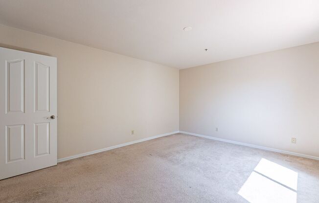 1 bed, 1 bath, $1,600, Unit #337