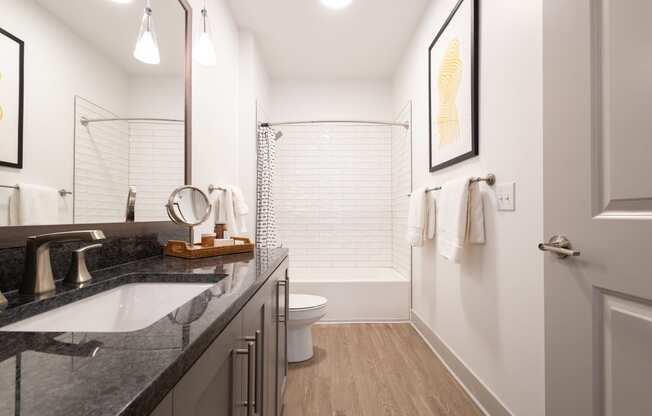 a bathroom with a sink and a toilet