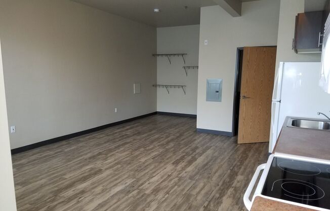 Studio, 1 bath, 460 sqft, $1,250, Unit 2-104W