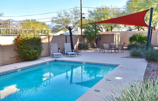 Studio, 1 bath, 535 sqft, $725, Unit 205