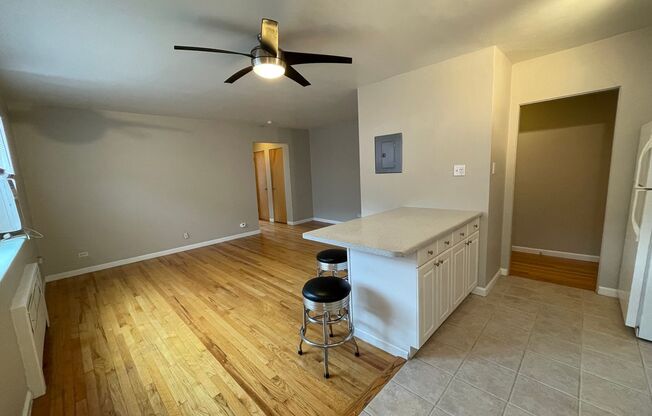 1 bed, 1 bath, $1,295, Unit APARTMENT 305