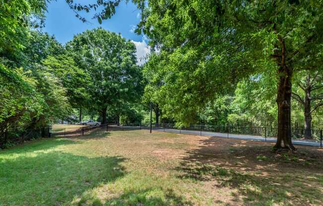Large fenced in dog park located at Twenty35 Timothy Woods in Athens, GA 30606