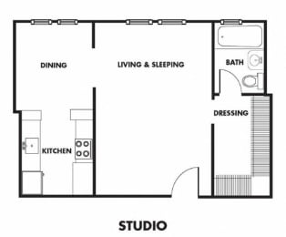 Studio, 1 bath, 456 sqft, $1,388
